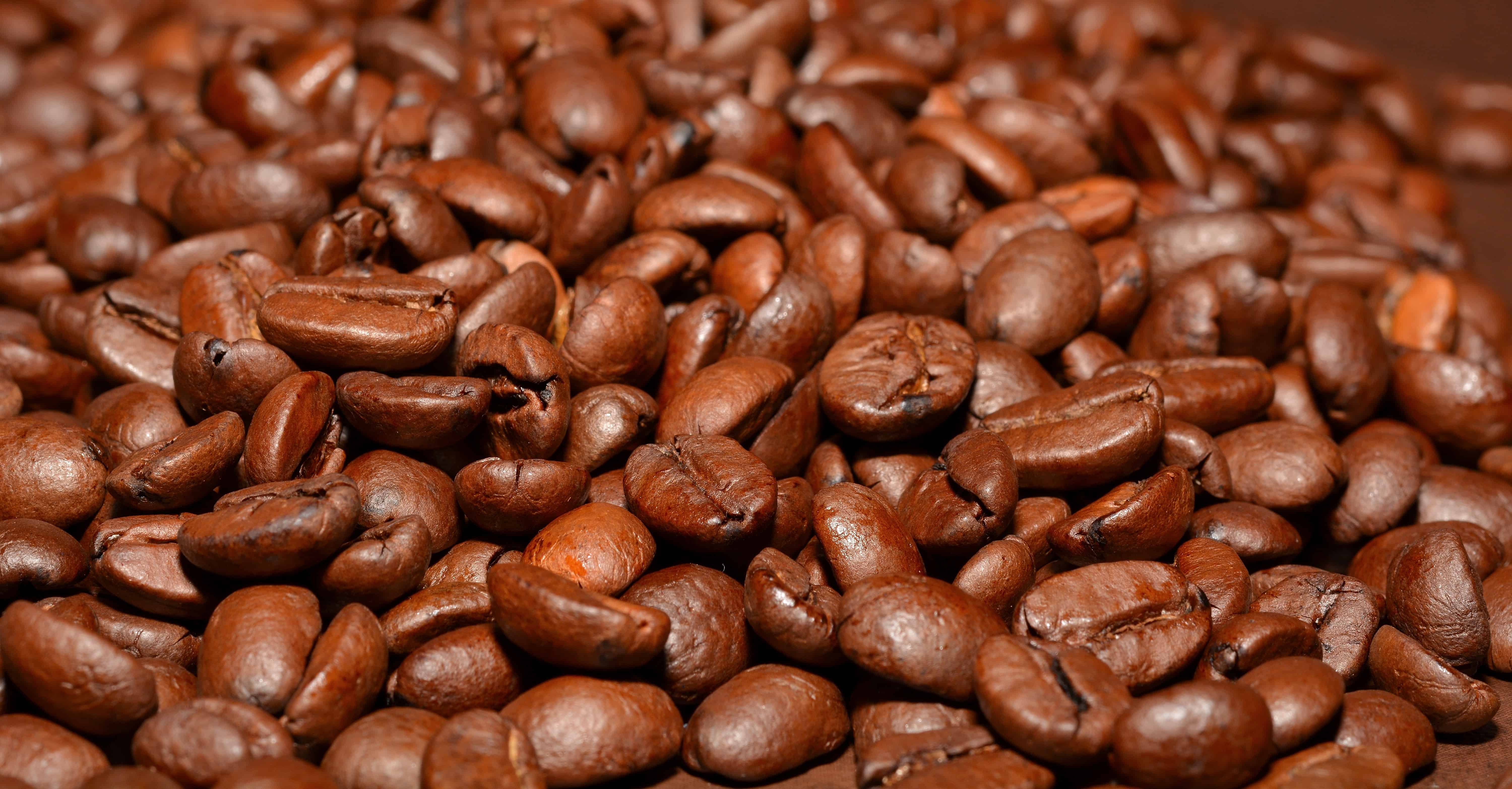 10 Best Organic Coffee Beans Of 2021 Reviews Buying Guide