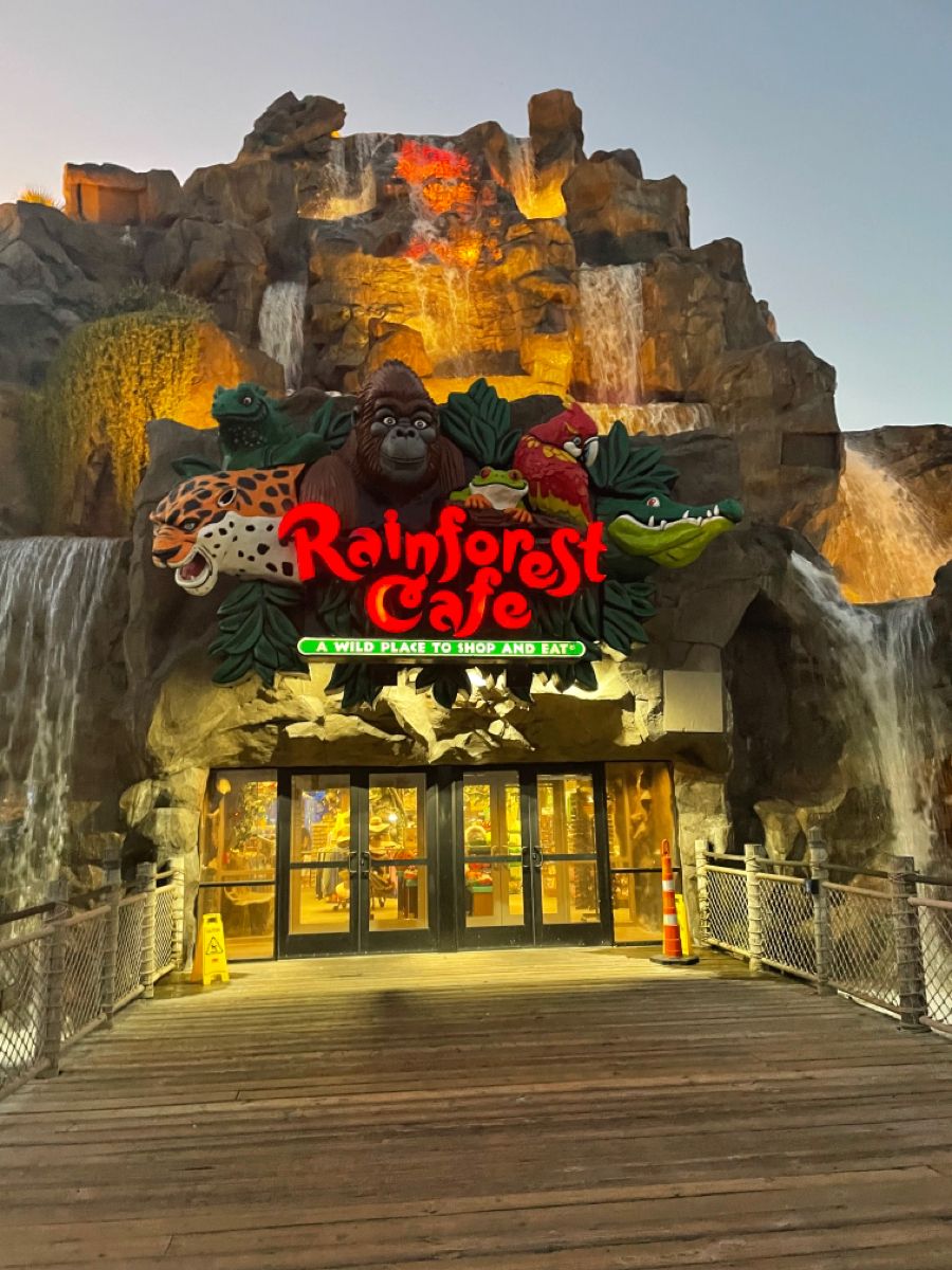 10 Rainforest Cafe Galveston Secrets