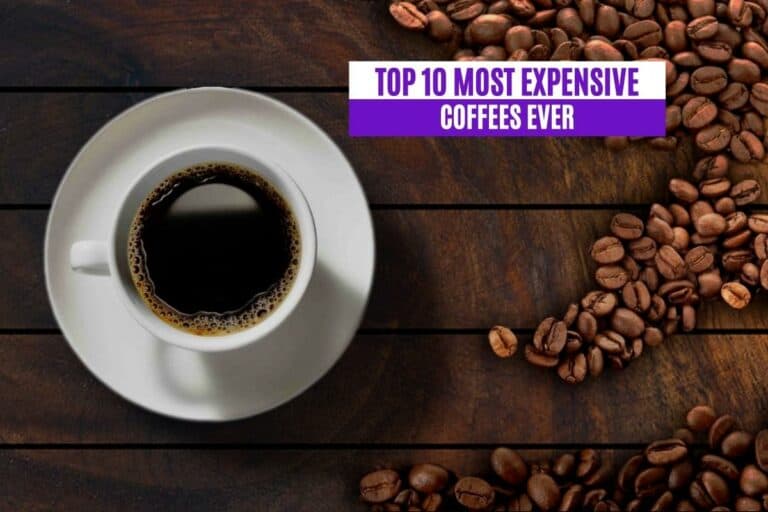 11 Most Expensive Coffees In The World Ranking