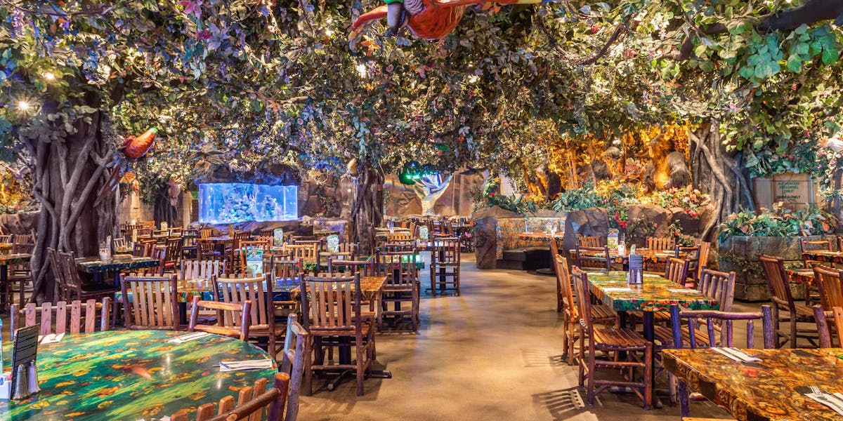 12 Rainforest Cafe Galveston Photos Inside