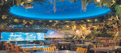 12+ Secrets To Dining At Rainforest Cafe