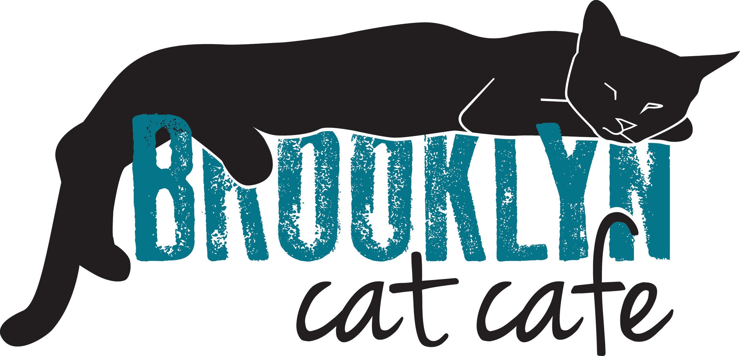 Brooklyn Cat Cafe Experience: Cats, Coffee, Joy