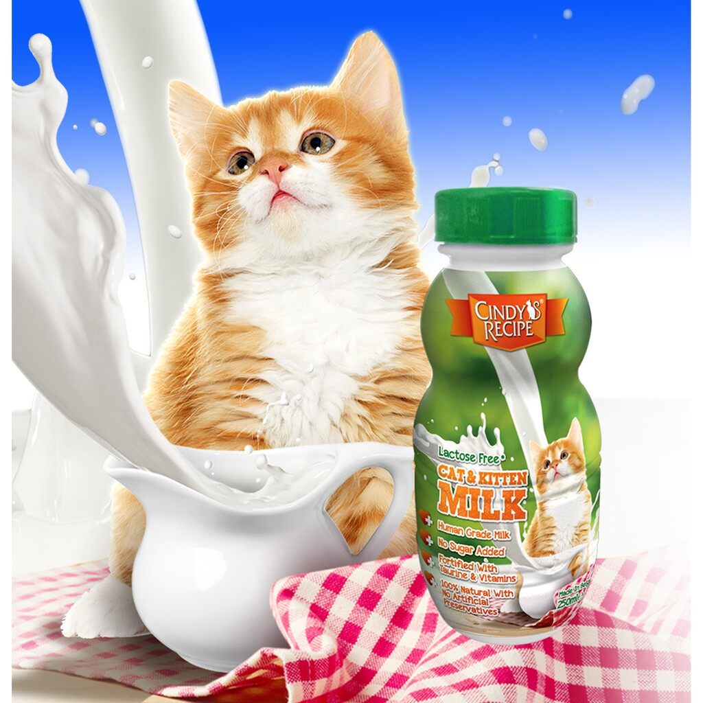 Cindy S Recipe Lactose Free Cat Kitten Milk 250Ml Pet Pet Fun