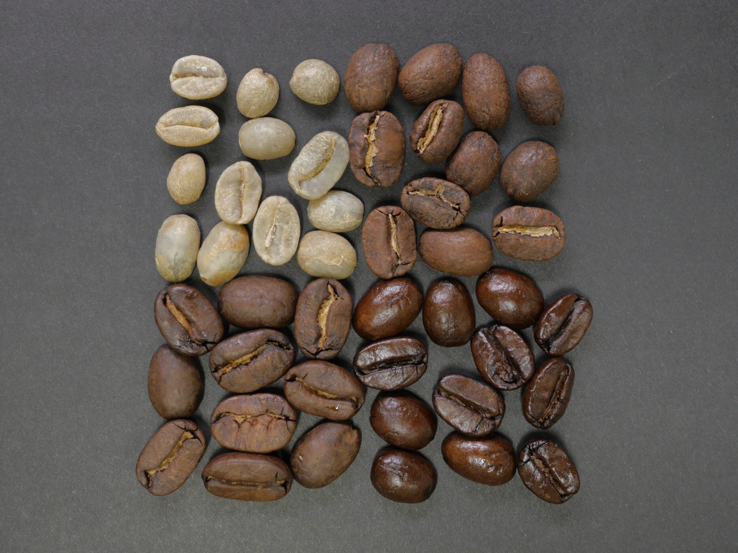 Coffee Bean Types Explained: Top Varieties