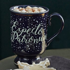 Harry Potter Magic Heat Sensitive Mugs Pottery Barn Teen