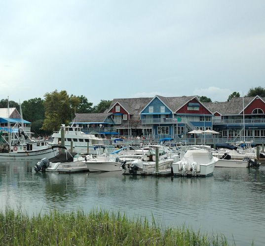 Menu Of Salty Dog Cafe In Hilton Head Island Sc 29928