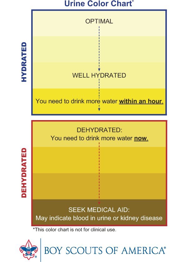 Nutrients Free Full Text How To Monitor Hydration Status And Urine