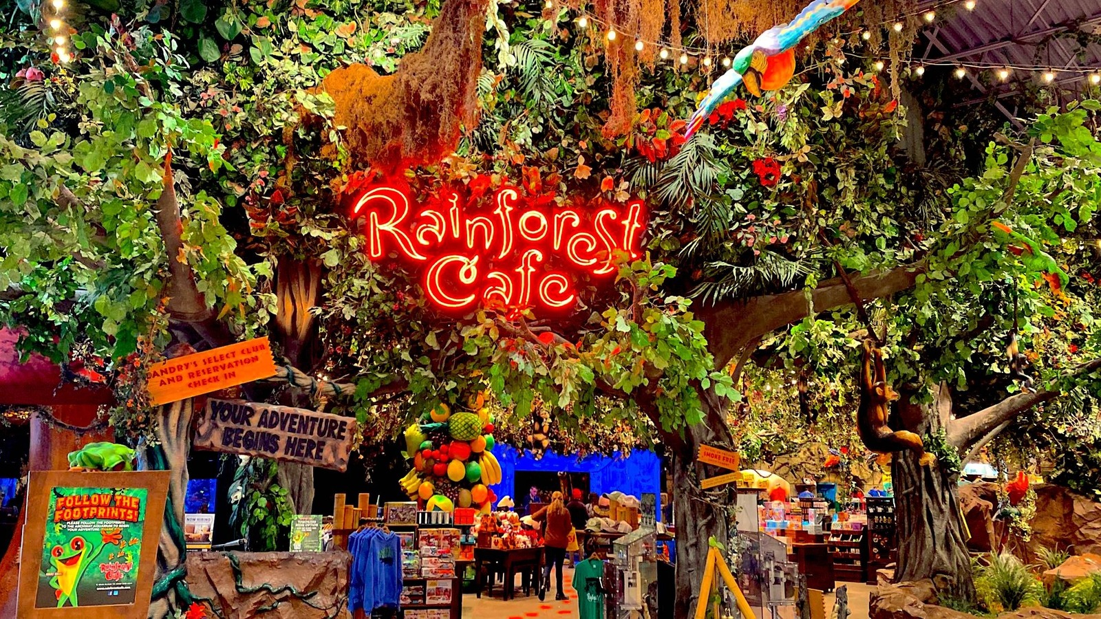 Rainforest Cafe 197 Photos 164 Reviews American Traditional