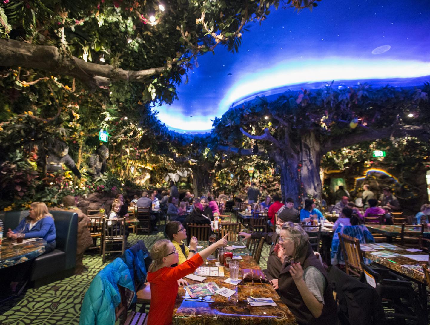 Rainforest Cafe A Little Less Wet Reopens At The Mall Of America