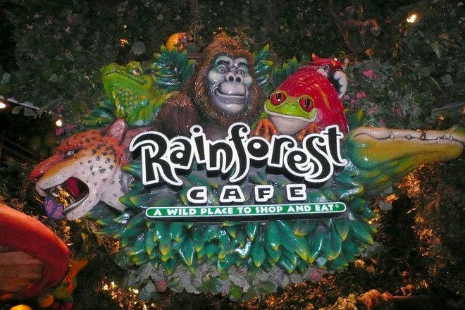 Rainforest Cafe Is One Of The Best Restaurants In Niagara Falls