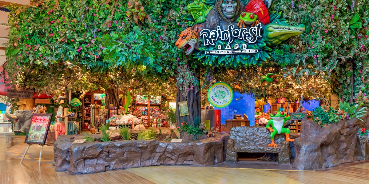 Rainforest Cafe Tx American Learning Alc