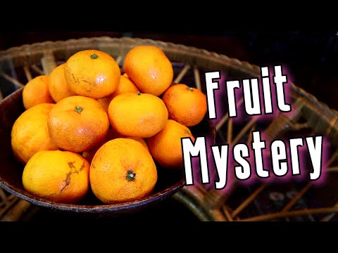 Satsuma The Incredible History Behind New Orleans Favorite Fruit