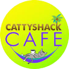 What Is Cattyshack Cat Cafe? Feline Fun Guide