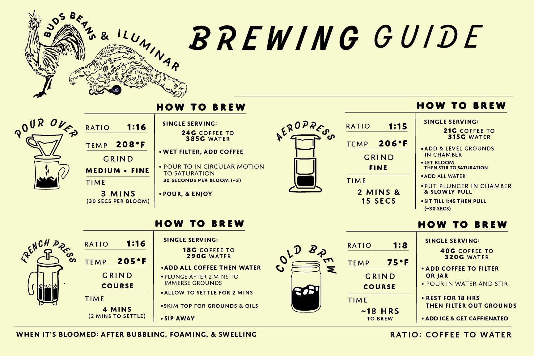 What Is Mocha Coffee? Brewing Guide